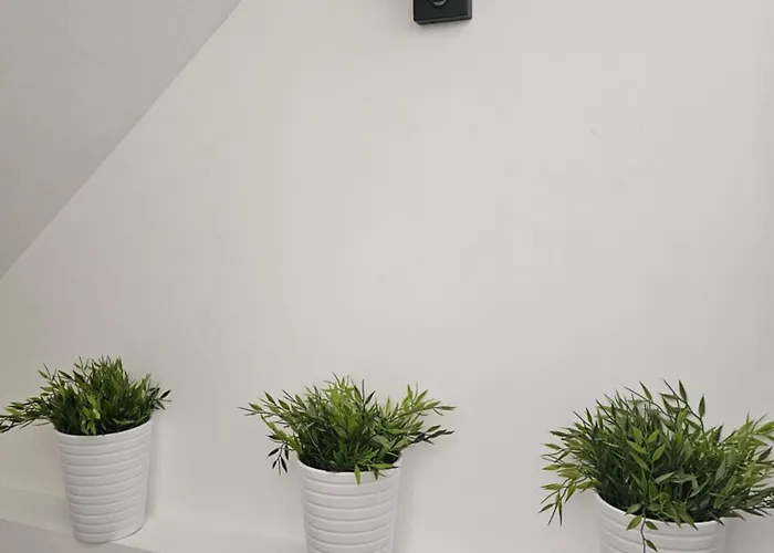 Maison Brizon Collection Pepeaz *